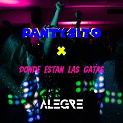 Pantysito x Donde están Las Gatas (Alegre Mashup) / free download