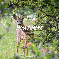 You Amore (Live Version)