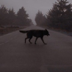 fifty percent - June Henry