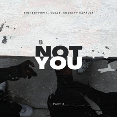 Not You pt. 2 (feat. 5mal9, Smokeyy Kapalot)