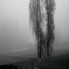 Fine wine (10am + giowonda)