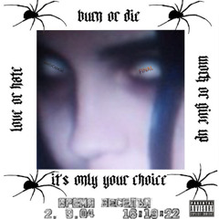 DVЯK SE▲ - You are not allowed to feel guilty.