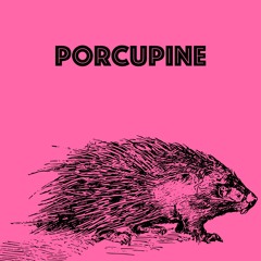 Porcupine