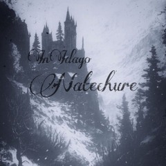 InIdago-bpm