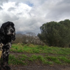 Hologram is by Nanu Nanu