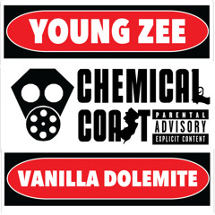 Chemical Coast (with Young Zee)