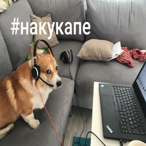 прогулка утром  prod.by negative.creeper