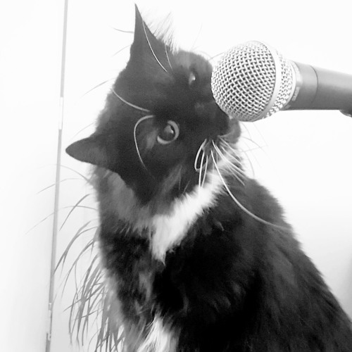 Voice in my ear mix file.deno.wav