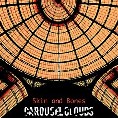 Skin and Bones