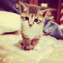 6klled - neimans (prod. ynfl)