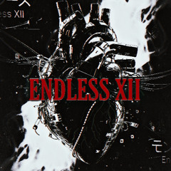 ENDLESS XII