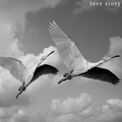 Love Story