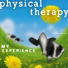 Physical Therapy - My Experience (Unreliable Narrator Mix)