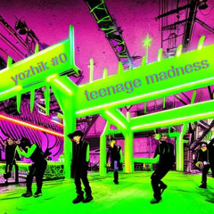 yozhik #0 - Teenage Madness