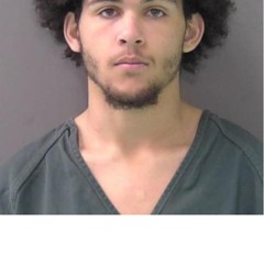 switches (cihydraaa) #freeshawn