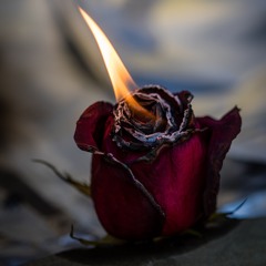 FUCK LOVE - RYSEMPROD