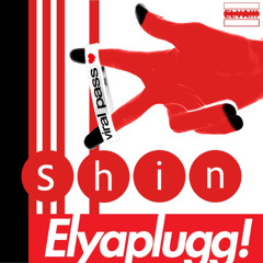 shin