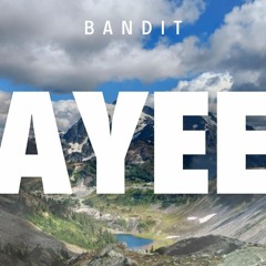 BVNDIT - AYEE