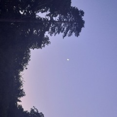 view from the window