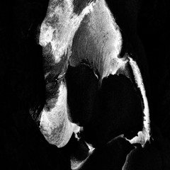 Cracked Magma Flows