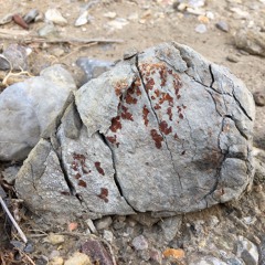 Poem Of The Mineral I