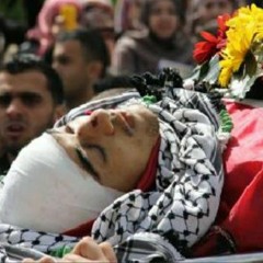 لمرة أخيرة// نص ليالي درويش لروح أخيها الشهيد ساجي // الأداء الصوتي آلاء أبو عرقوب