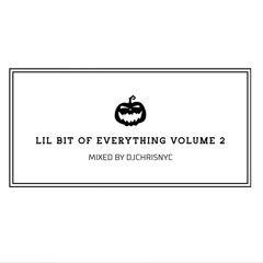 Lil Bit Of Everything Volume 2
