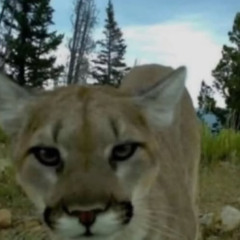 synths of what? time? nah