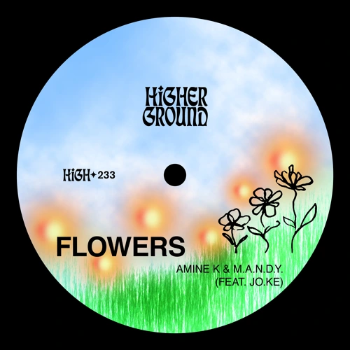Artwork for the song  Amine K,  M.A.N.D.Y - Flowers by Amine K (Moroko Loko) on Next Sound