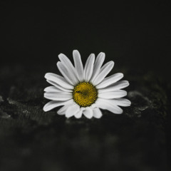 October meet Afro House