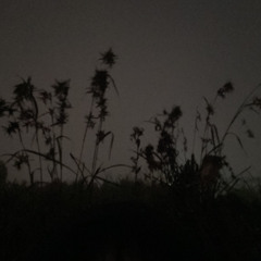 fuck, i cant deny it (nanana song) - acoustic