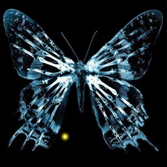 butterflies ft. eastbaytae (prod. cgm)
