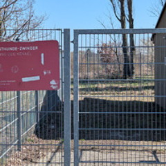 How to make poets mad with flies and doors