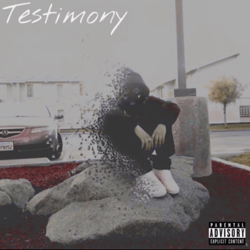 Testimony
