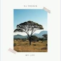 Dj Pronin - My Life