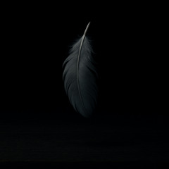 Tempest