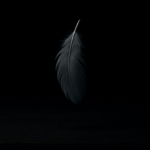 Tempest
