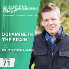 71. Dopamine in the Brain with Stephen Lammel