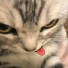 With u 29 ( Speed Up )