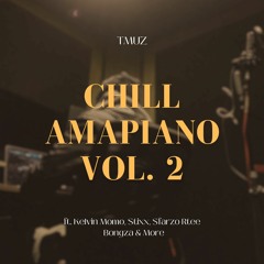 Tmuz Chill Mix Vol. 2