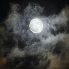 yyellow - The Moon Suite: 3 Songs about the Moon