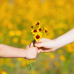 Fra Ljubomir Šimunović, 28. kroz godinu, C