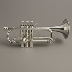 Trumpet Christmas Duet Medley with Piano