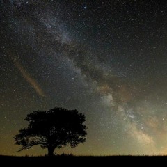 Periphery - Satellites (Ambient Clean Guitar Intro)