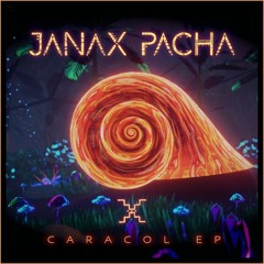 PREMIERE - Janax Pacha  - Sin Fin (Carrot Green's Retrain Mix) (Earthly Measures)