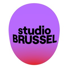 Minifuif voor Maxipret #1 - Studio Brussel - 23/11/2023