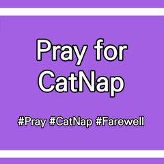Pray For CatNap (NCS Song)