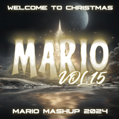 MARIO MASHUP 2024 Vol.15 (BASS HOUSE)
