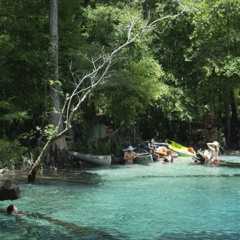 Review Special Price Cypress Springs Eco Adventure