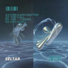 This Dark Matter
